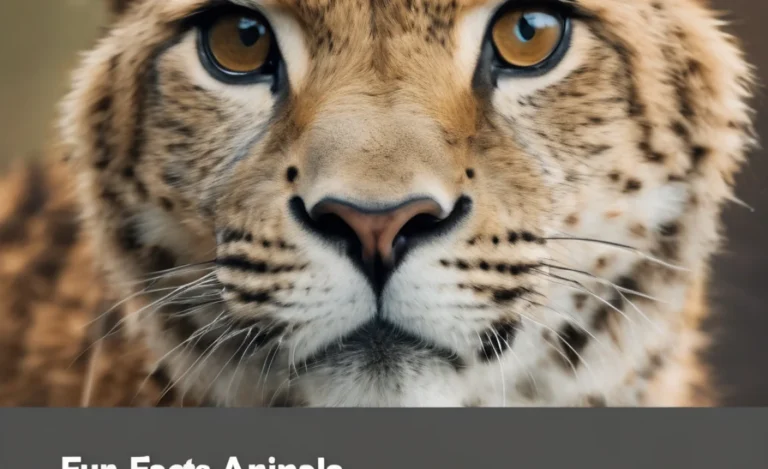 Unbelievable Animal Fun Facts You Need to Know!